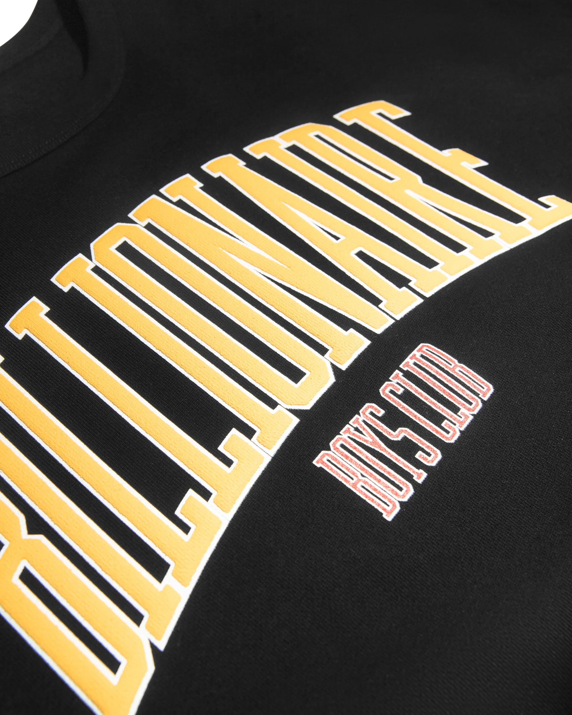Collegiate Crewneck - Image 3