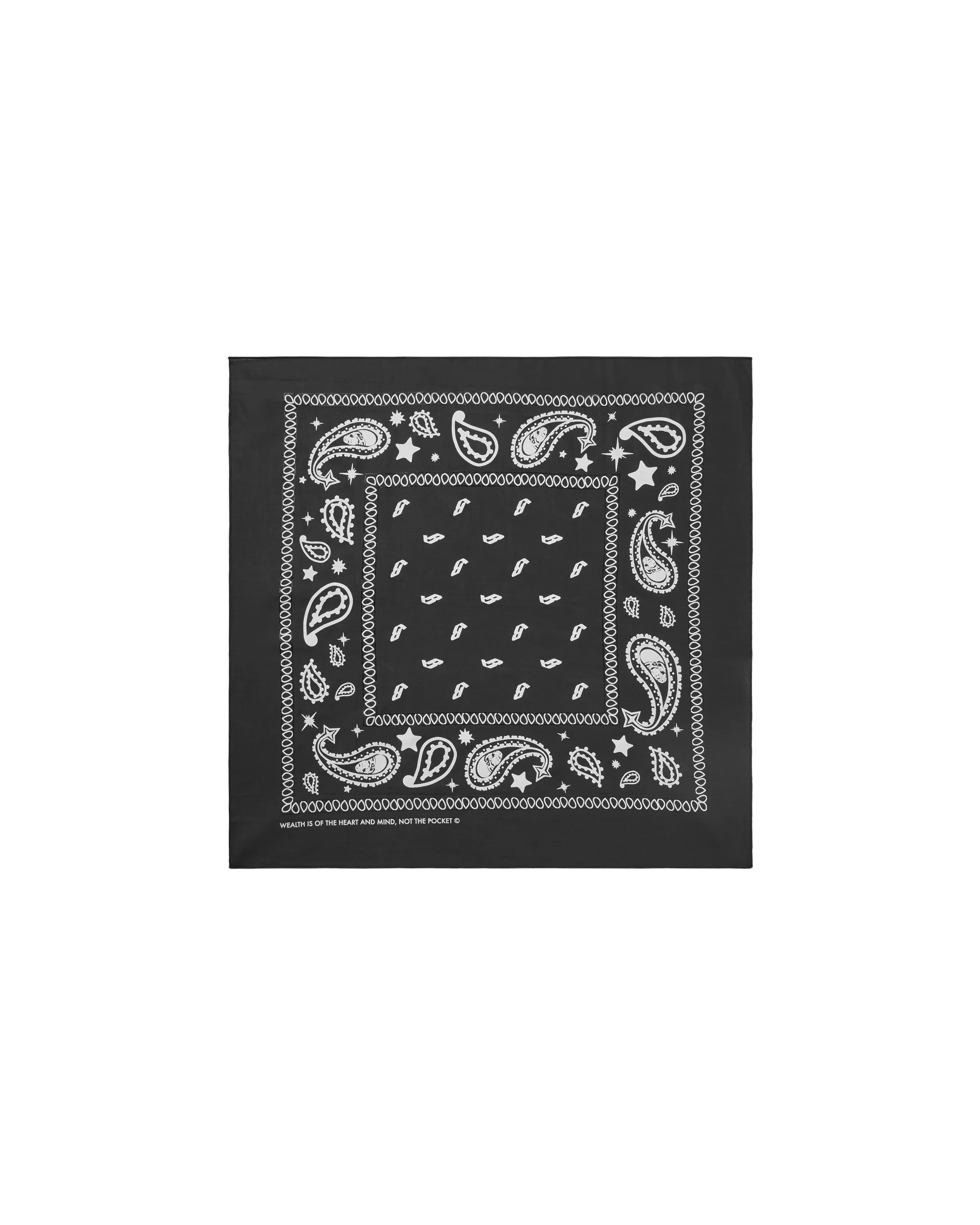Flying B Paisley Bandana