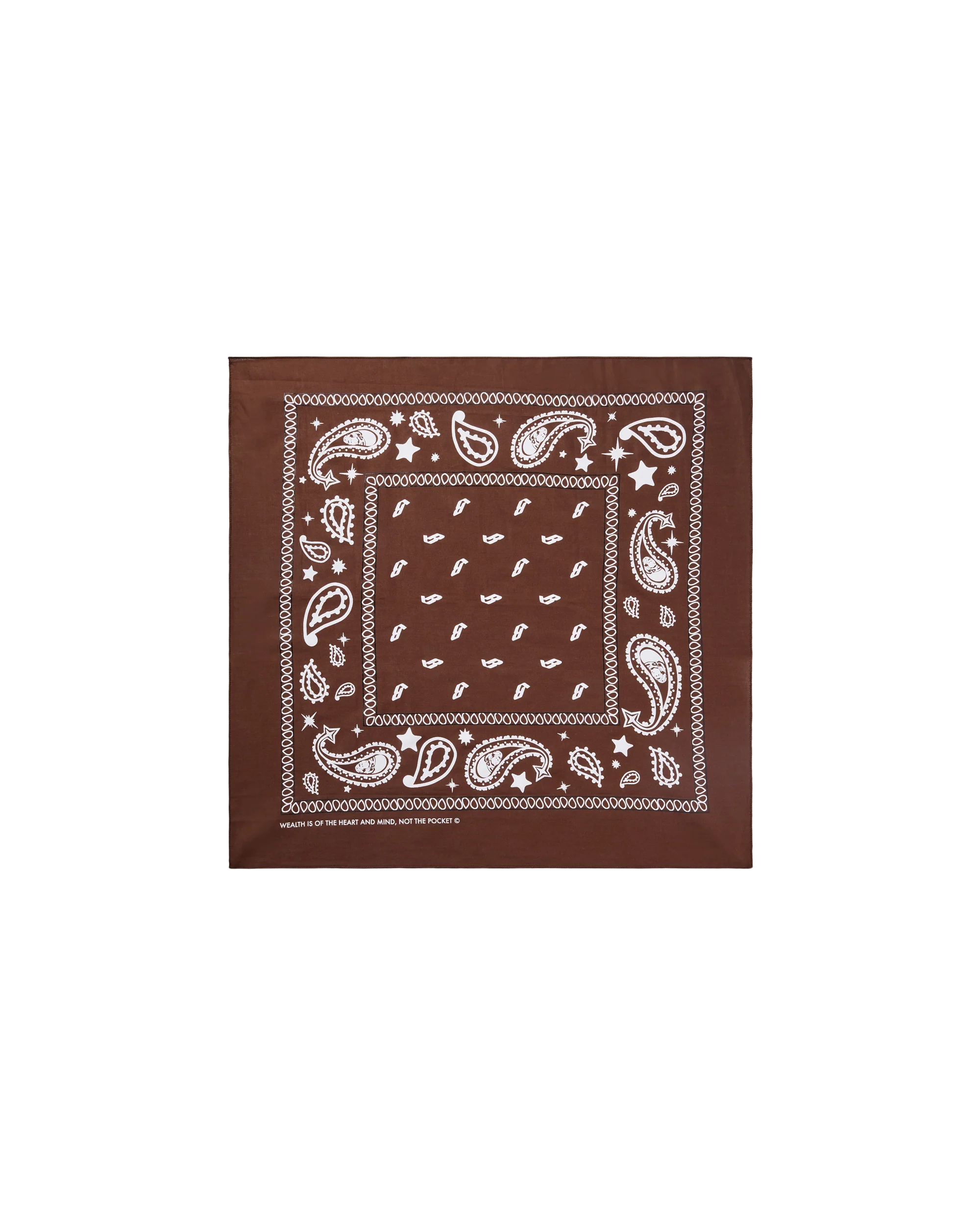Flying B Paisley Bandana