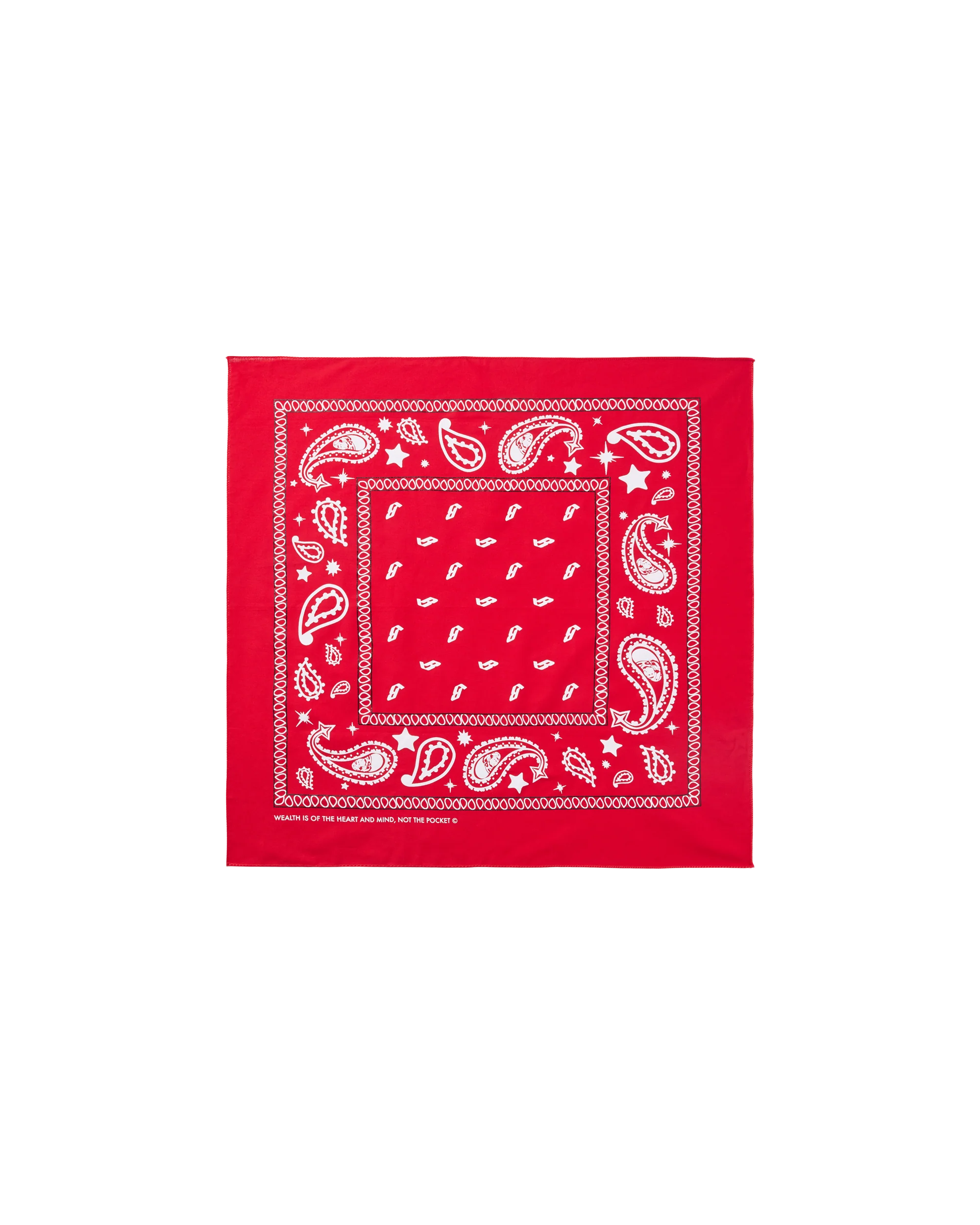 Flying B Paisley Bandana