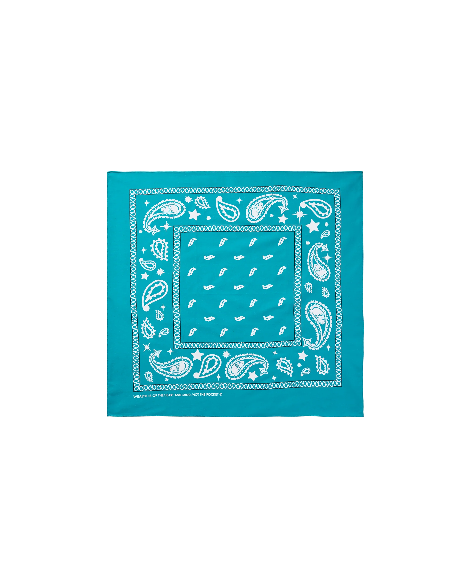 Flying B Paisley Bandana