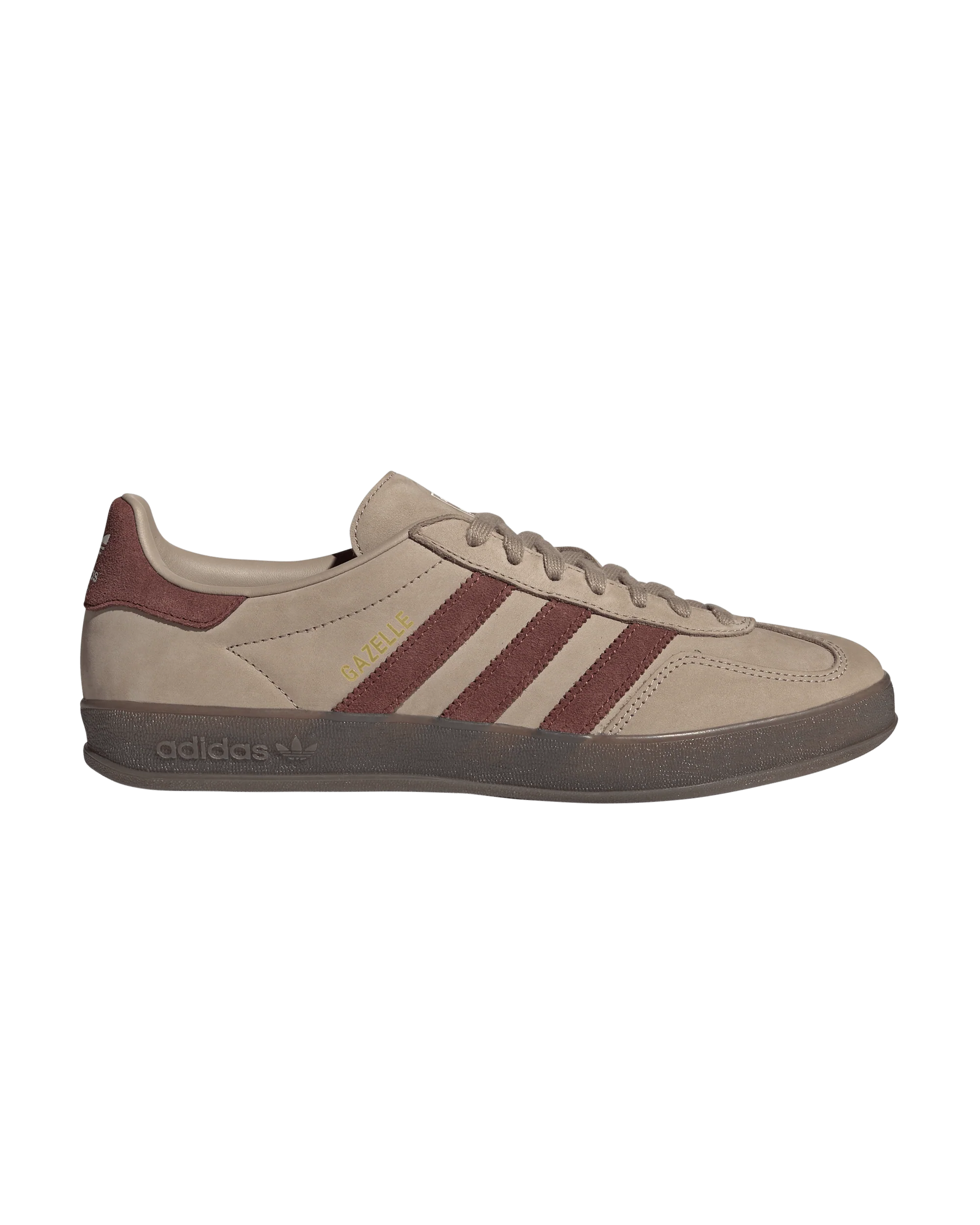Gazelle Indoor