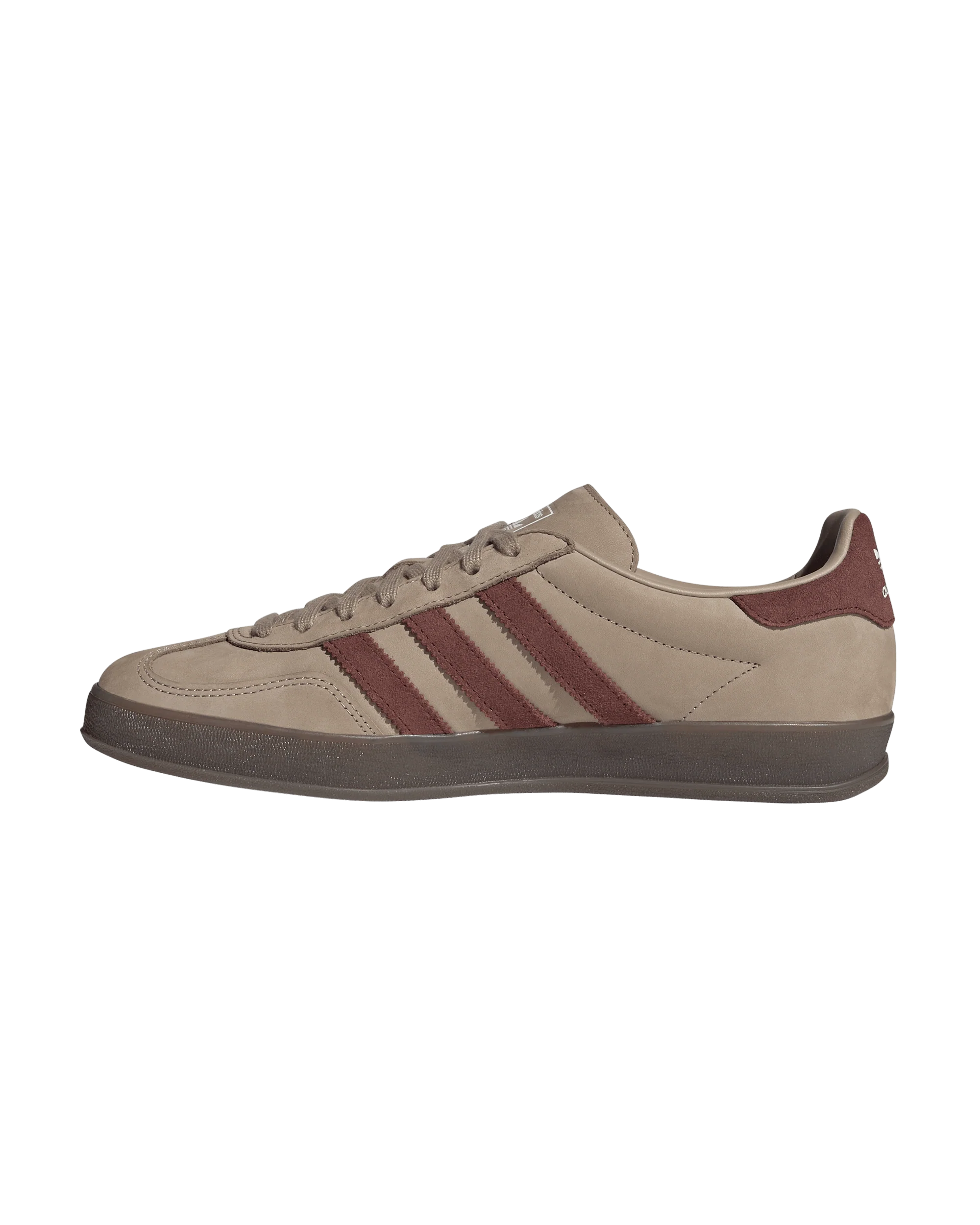 Gazelle Indoor - Image 2