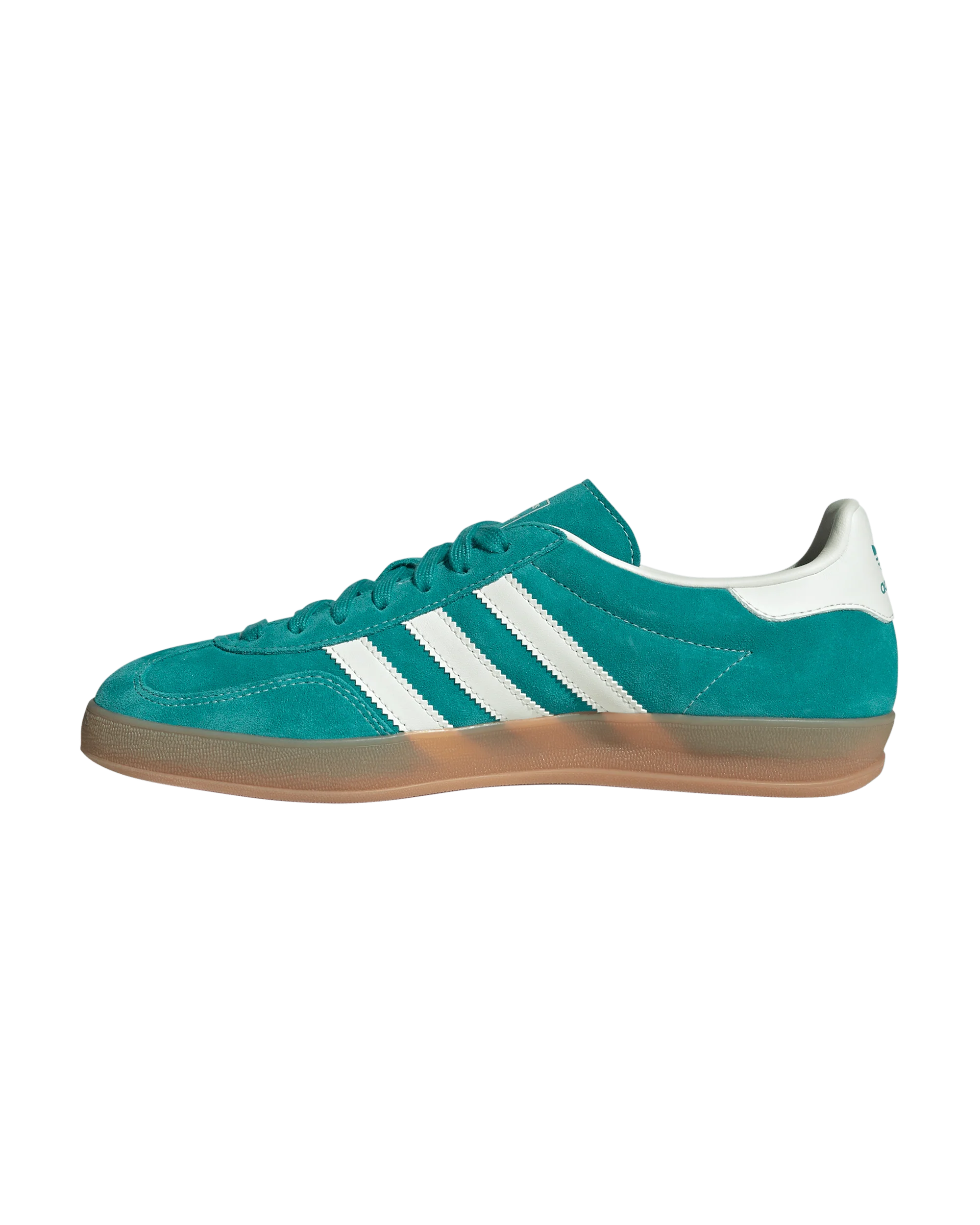 Gazelle Indoor - Image 4