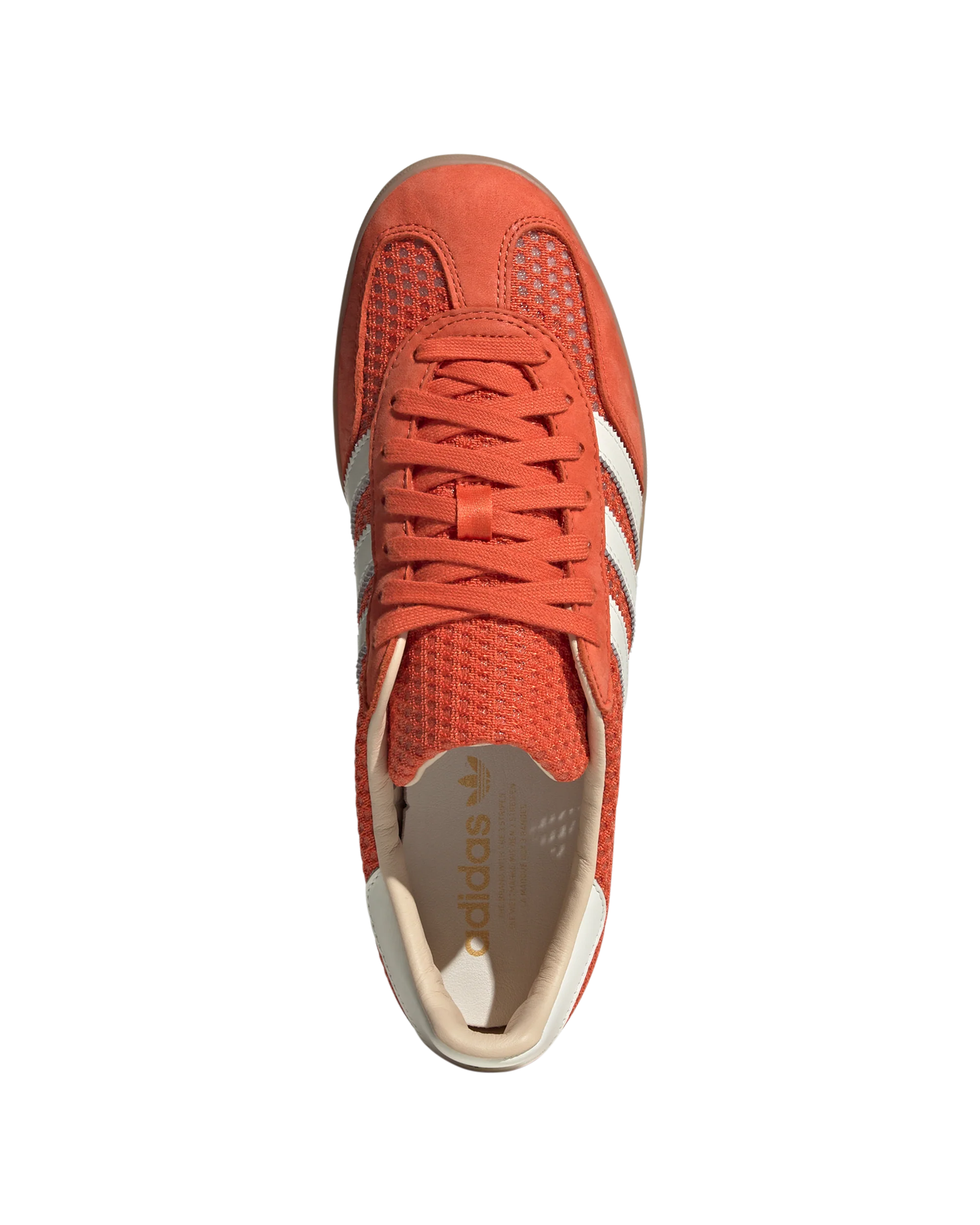 Gazelle Indoor - Image 3