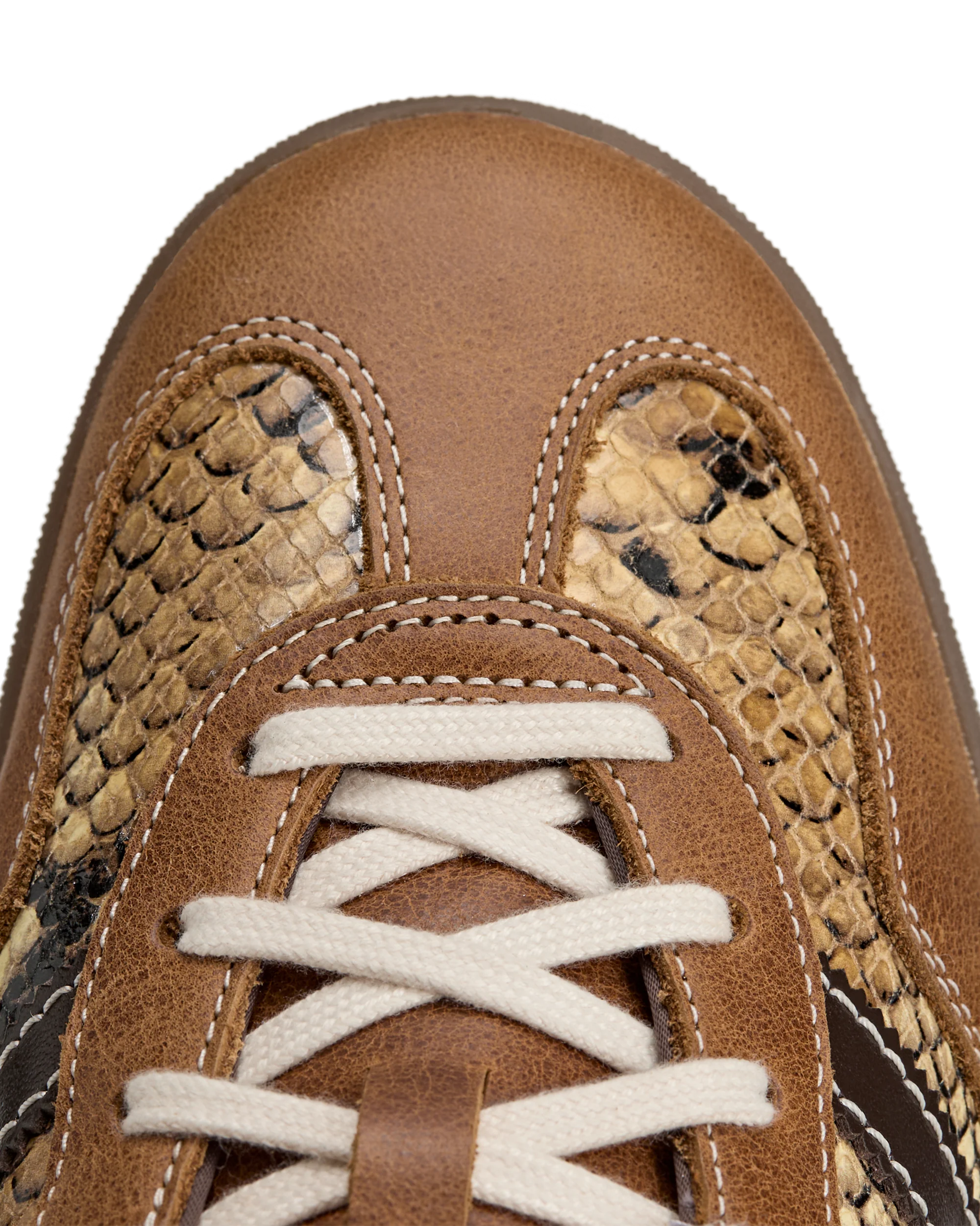 WALES BONNER GAZELLE SNAKE - Image 6